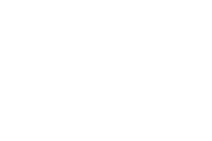 Dingman's Genesis Logo #ffffff
