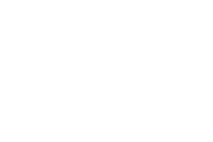 Dingman's MINI Logo #ffffff