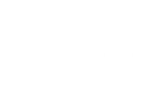 Dingman's Polestar Logo #ffffff